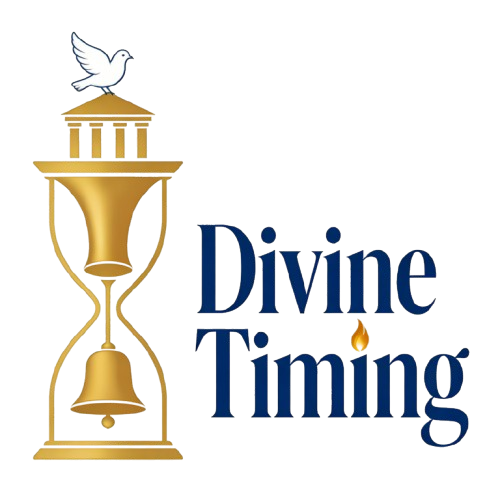 logo removebg preview