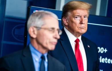 Fauci pandemic diaries reveal Trump, Julia Roberts and Hunter Biden