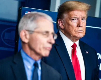 Fauci pandemic diaries reveal Trump, Julia Roberts and Hunter Biden