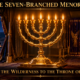 The Seven-Branched Menorah: From the Wilderness to the Throne of God